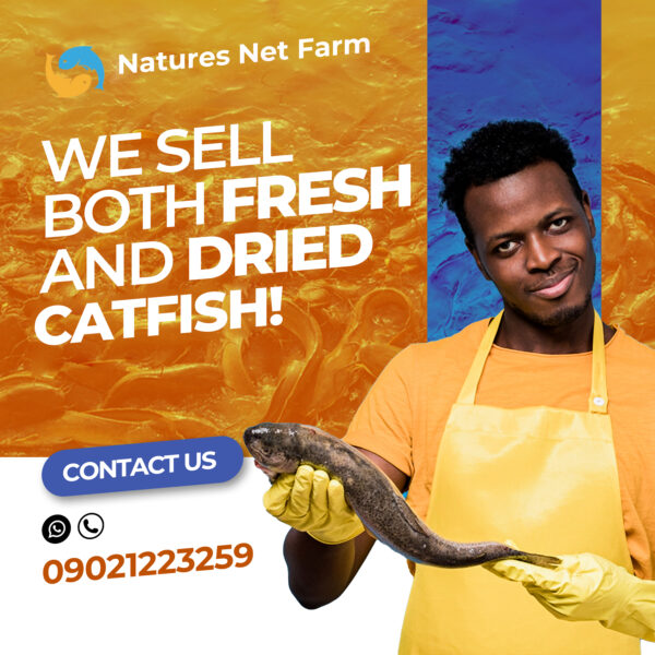 Catfish